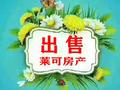 中梁壹號院 四室兩廳精裝自住 看房方便 萬達廣場附近精裝送車位