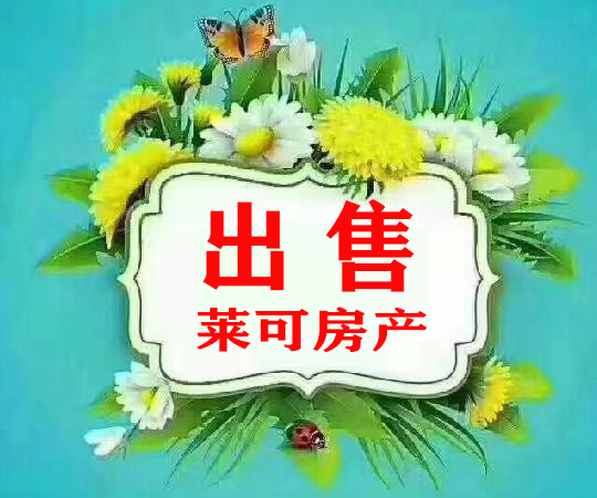 华夏 湖畔御苑 好楼层 无税 奋飞学区房